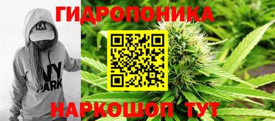 мдма Гусев