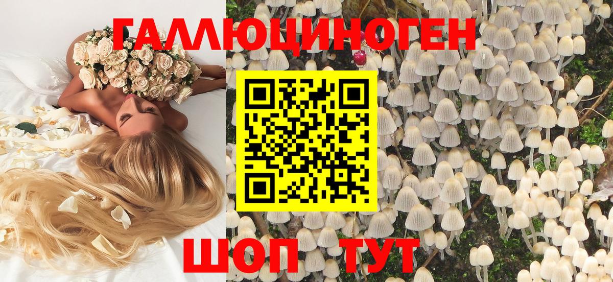Галлюциногенные грибы мухоморы Ростов Великий