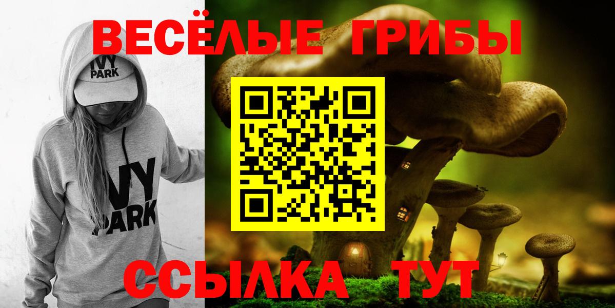 Псилоцибиновые грибы MAGIC MUSHROOMS  Псилоцибиновые грибы ЛСД  Вход с VPN  Ростов Великий 